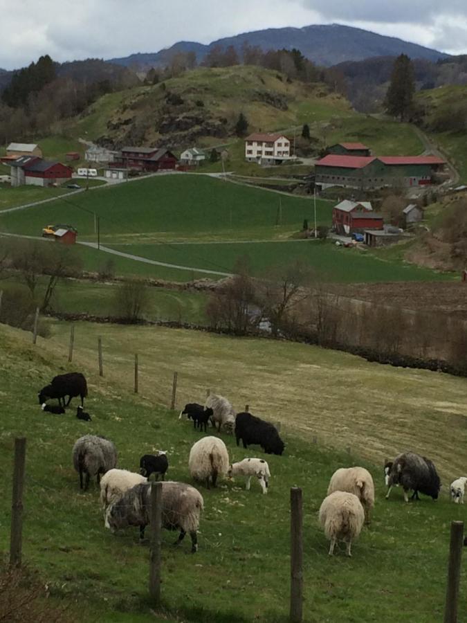 LonevågSkjerping Gardshus,别墅 外观 照片